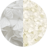 couleur boucles oreilles et accessoires fleurs éternelles hortensia blanc gypsophile blanc