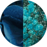 couleur boucles oreilles fleurs éternelles hortensia bleu canard gypsophile bleu turquoise