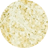 couleur bijoux et accessoires cheveux fleurs éternelles gypsophile stabilisé ivoire mini