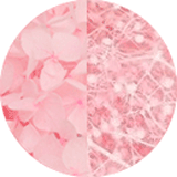 Page couleurs disponibles bijoux et accessoires cheveux, bijoux mariage, fleurs éternelles, petites fleurs hortensia et gypsophile stabilisées rose clair et rose clair