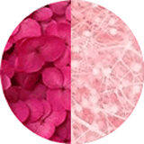 Page couleurs disponibles bijoux et accessoires cheveux, bijoux mariage, fleurs éternelles, petites fleurs hortensia et gypsophile stabilisées rose fuchsia et rose clair