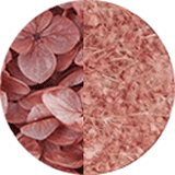 Page couleurs disponibles bijoux et accessoires cheveux, bijoux mariage, fleurs éternelles, petites fleurs hortensia et gypsophile stabilisées vieux rose et rose litchi