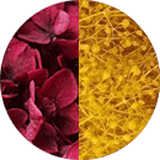 Page couleurs disponibles bijoux et accessoires cheveux, bijoux mariage, fleurs éternelles, petites fleurs hortensia et gypsophile stabilisées rouge bordeaux et jaune orangé