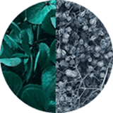 Page couleurs disponibles bijoux et accessoires cheveux, bijoux mariage, fleurs éternelles, petites fleurs hortensia et gypsophile stabilisées vert émeraude et bleu gris