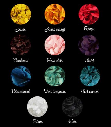 page descriptive des couleurs disponibles boucles oreilles et accessoires cheveux fleurs éternelles grandes fleurs d'hortensias stabilisées